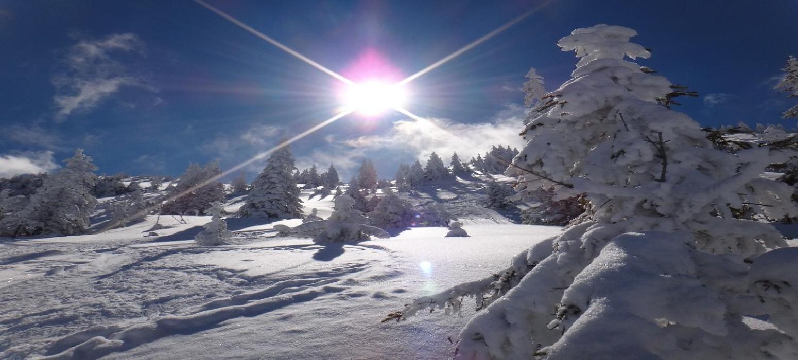 Ski-In, Ski-Out By Apartment Managers Kirchberg in Tirol Exterior foto